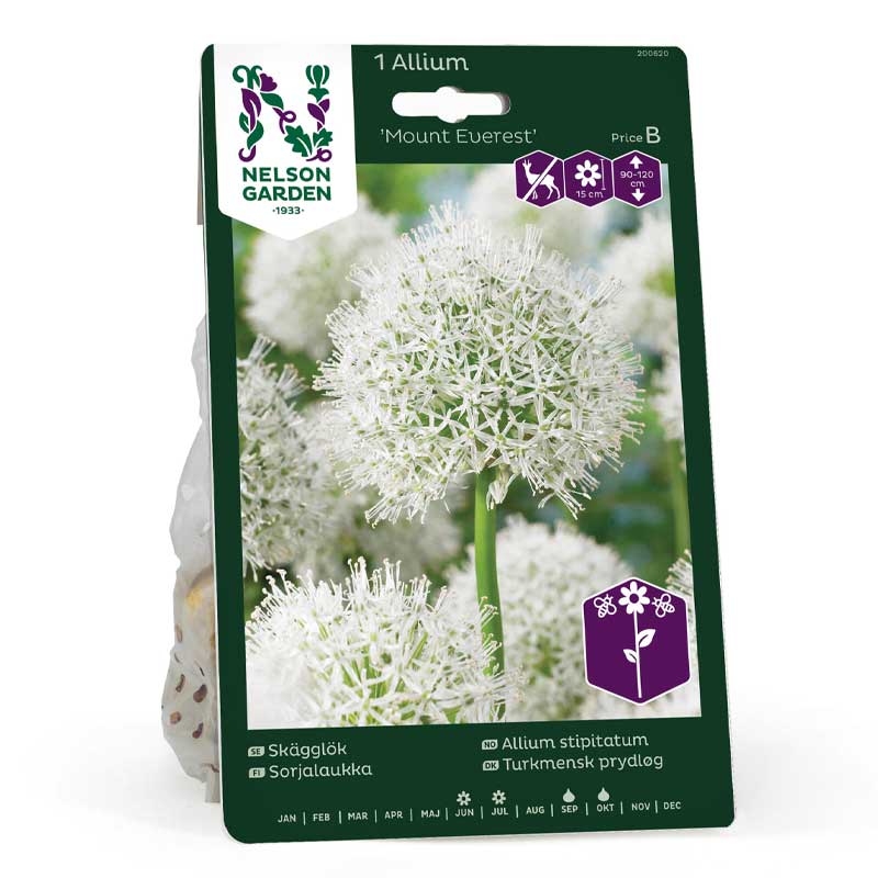 Parralaukka 'Mount Everest'