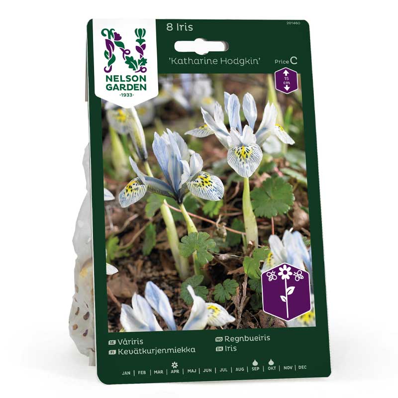 Kevätkurjenmiekka 'Katharine Hodgkin'