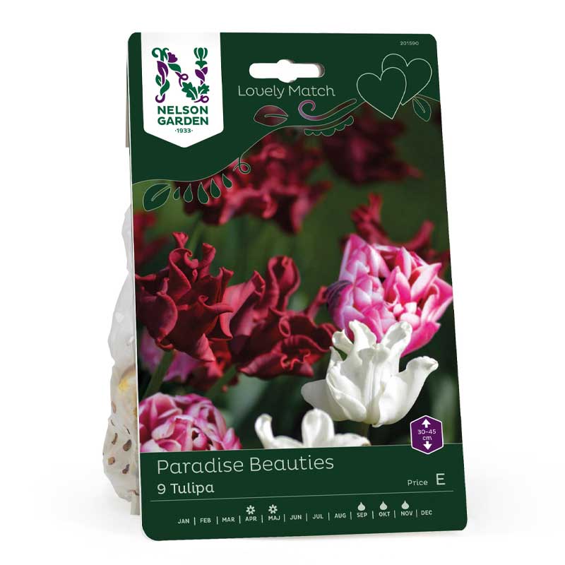 Lovely Match 'Dazzling Desire', 'Red Dress', 'White Liberstar'