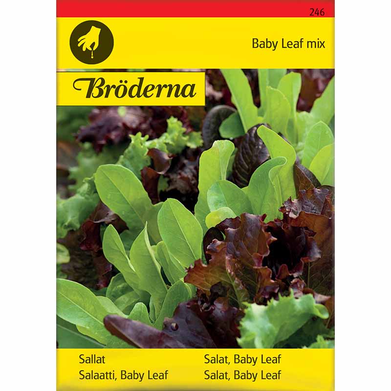 Salaatti 'Baby Leaf mix'