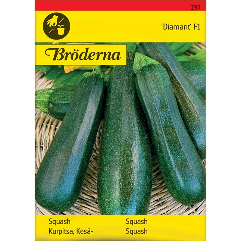 Kesäkurpitsa 'Diamant' F1