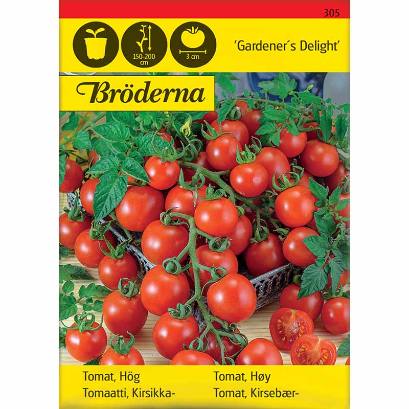 Kirsikkatomaatti 'Gardener´s Delight'