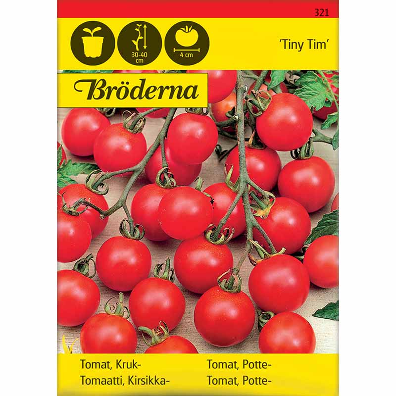 Kirsikkatomaatti 'Tiny Tim'