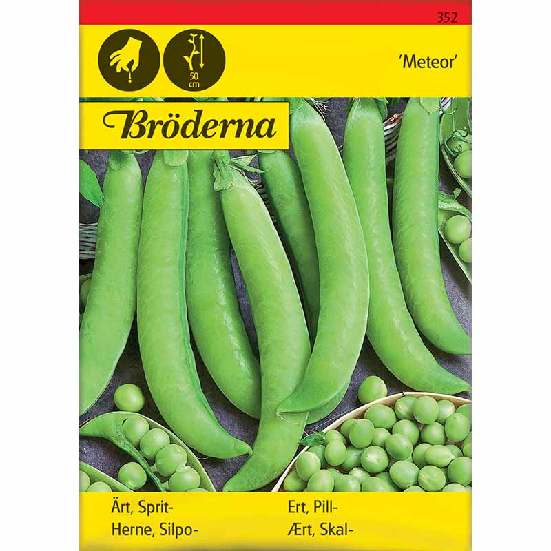 Kuorintaherne 'Meteor'