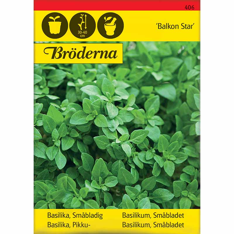 Basilika 'Balkon star'