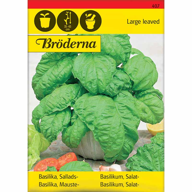 Basilika 'Large leaved'