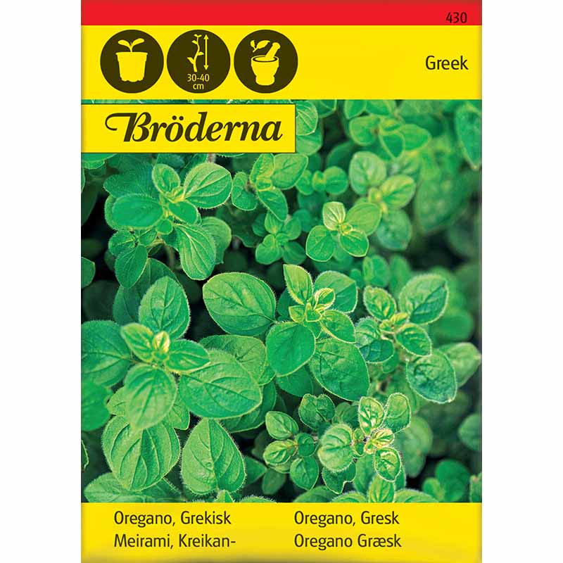 Kreikkalainen oregano