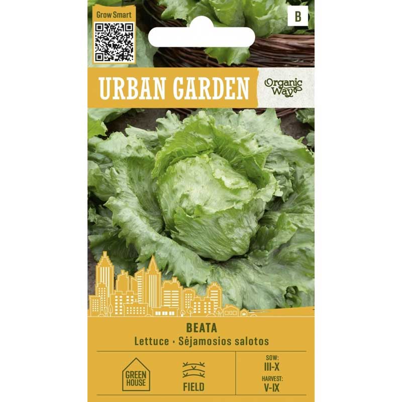 Salaatti ’Beata’