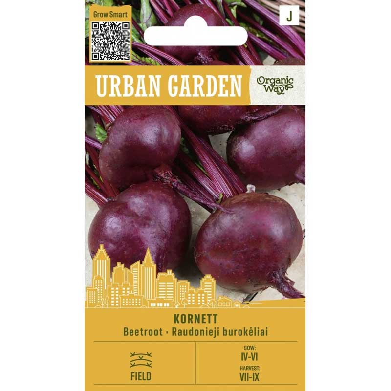 Punajuuri ’Kornett’