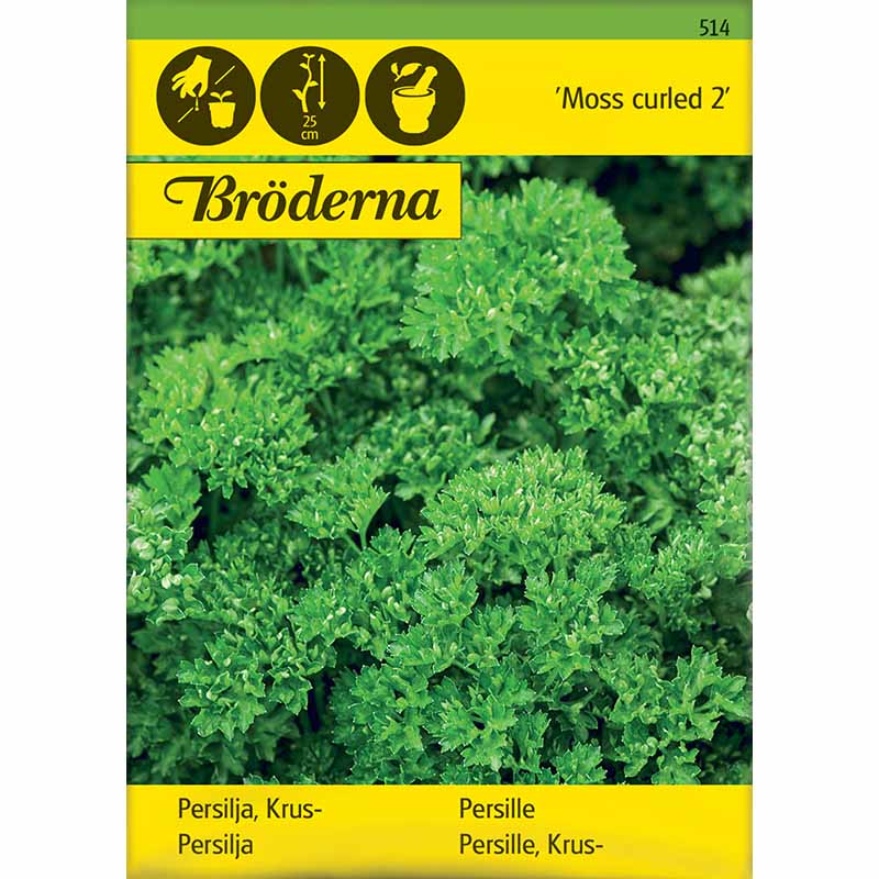 Lehtipersilja 'Moss curled 2'