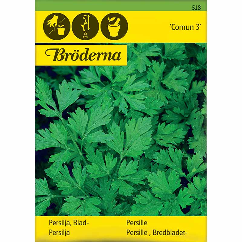 Lehtipersilja 'Comun 3'
