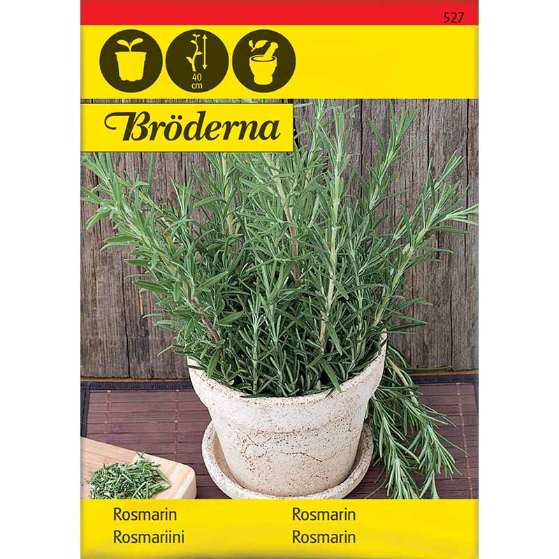 Rosmariini