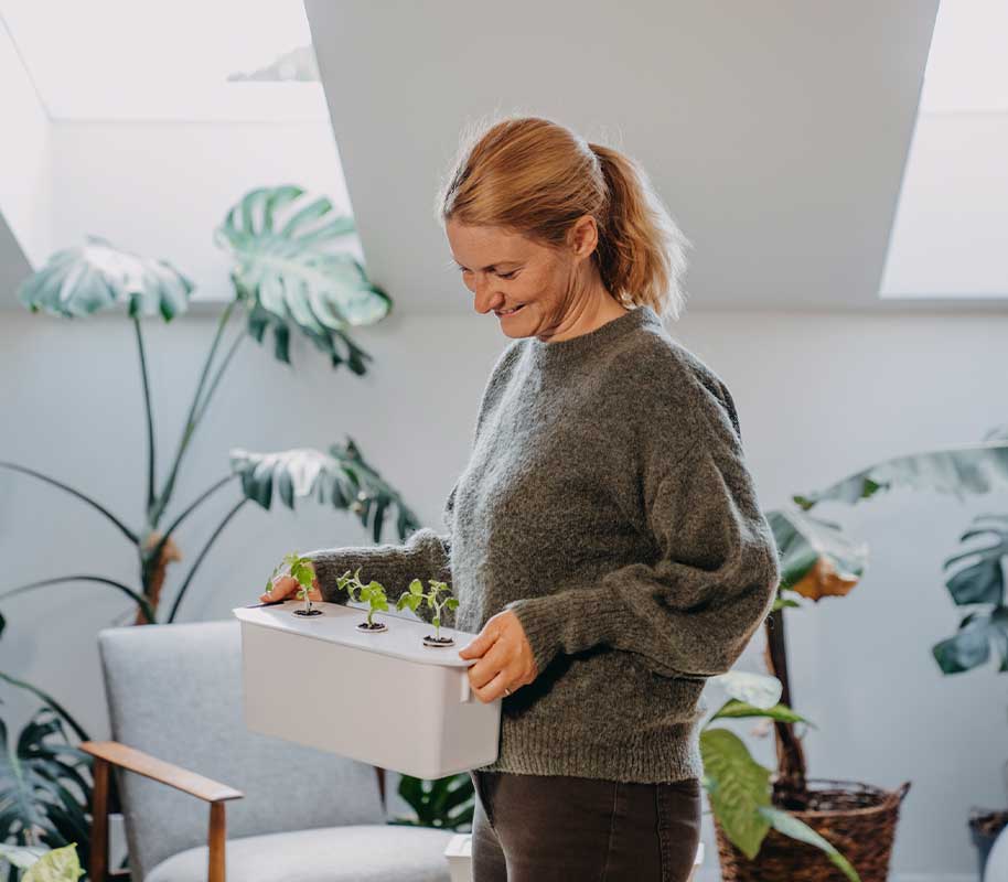 Harvy 3 Lahjapakkaus