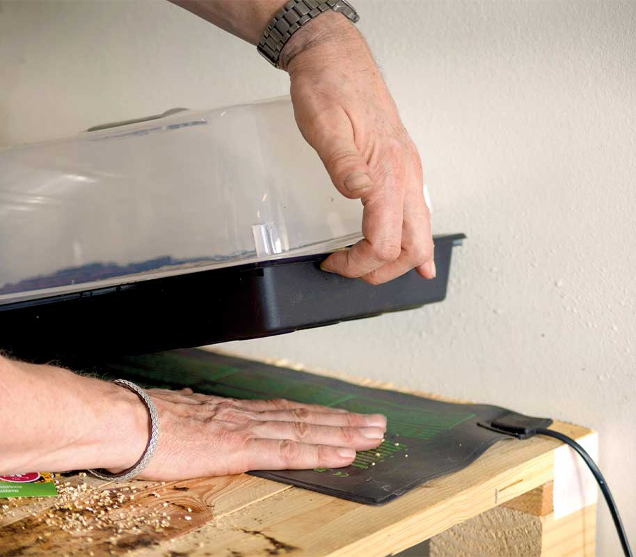 Lämmitysmatto taimille 230V