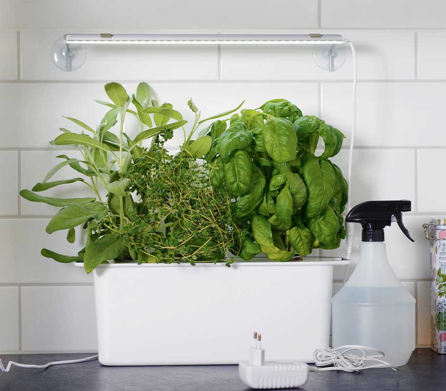 Kasvivalo LED 39cm adapterilla