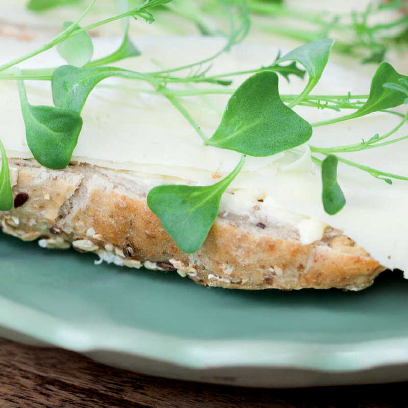 Mikrovihreä Lehtikaali 'Jagallo Nero'