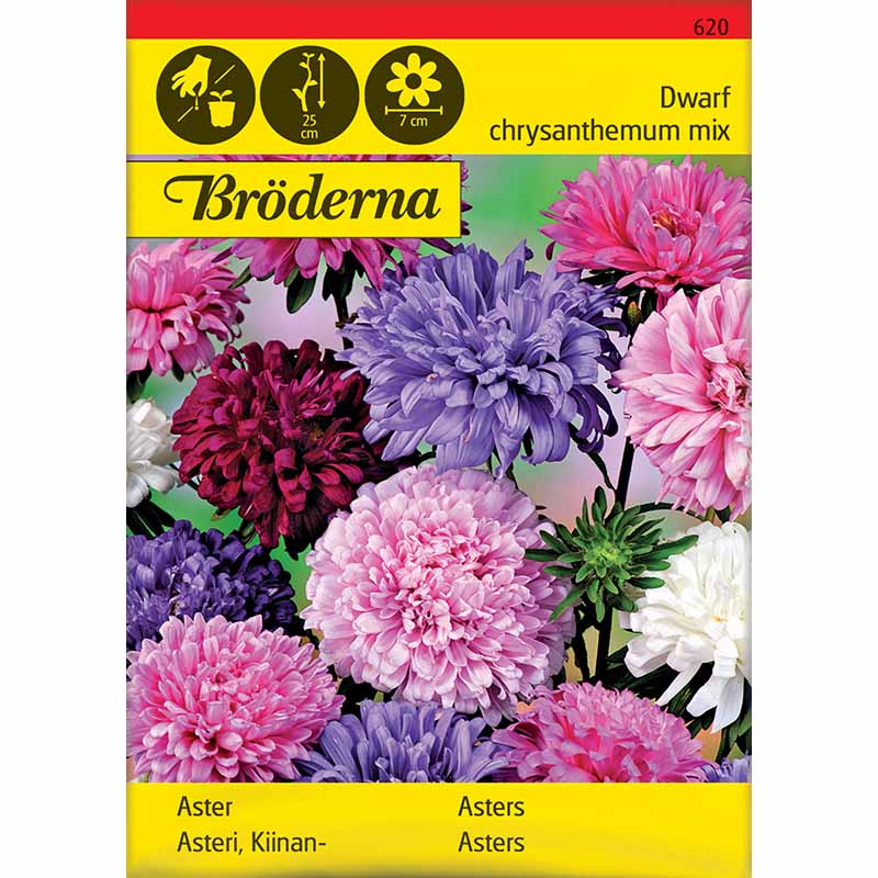 Kääpiöasterisekoitus