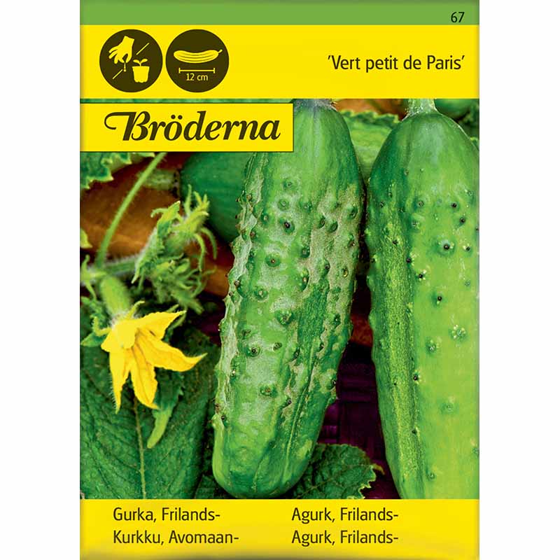 Avomaankurkku 'Vert petit de Paris'