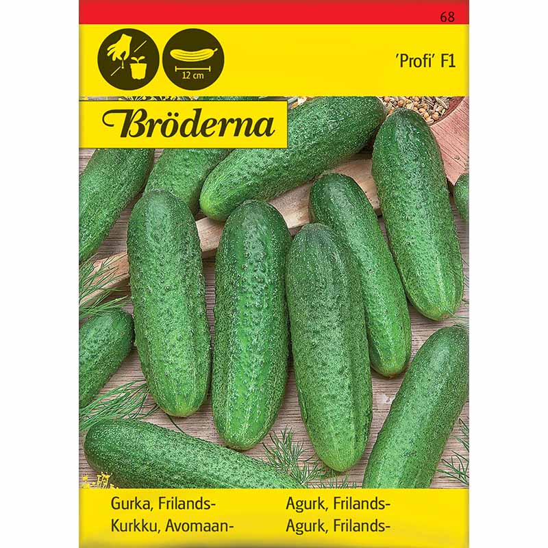 Avomaankurkku 'Profi' F1