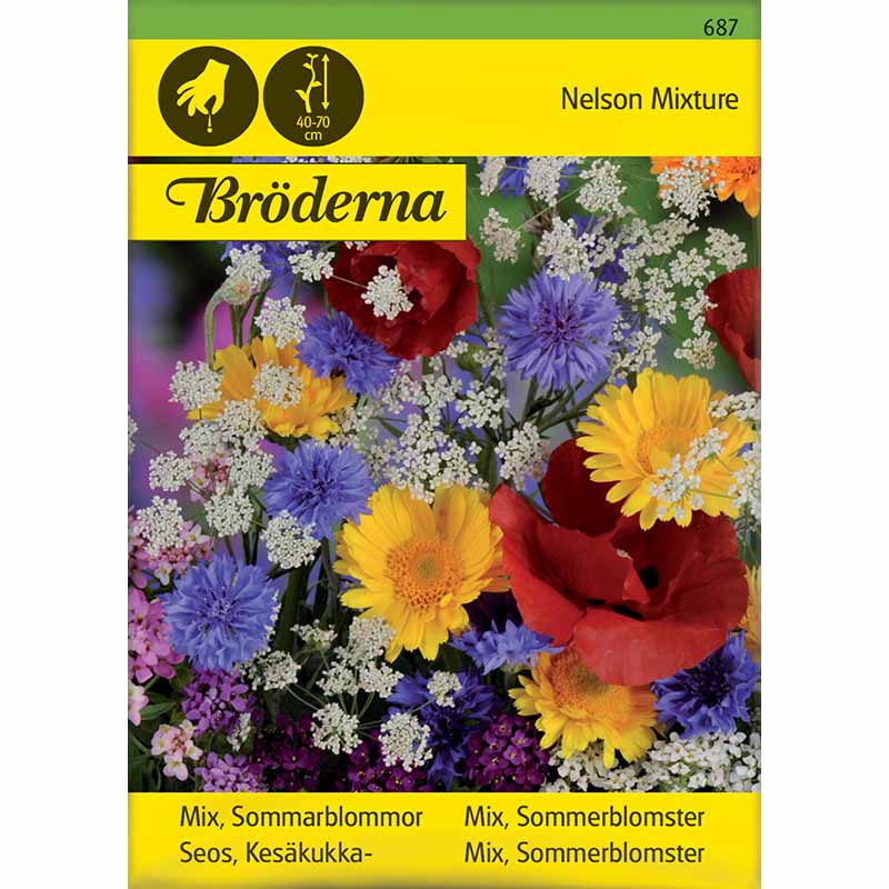 Kesäkukkasekoitus 'Nelson Mixture'