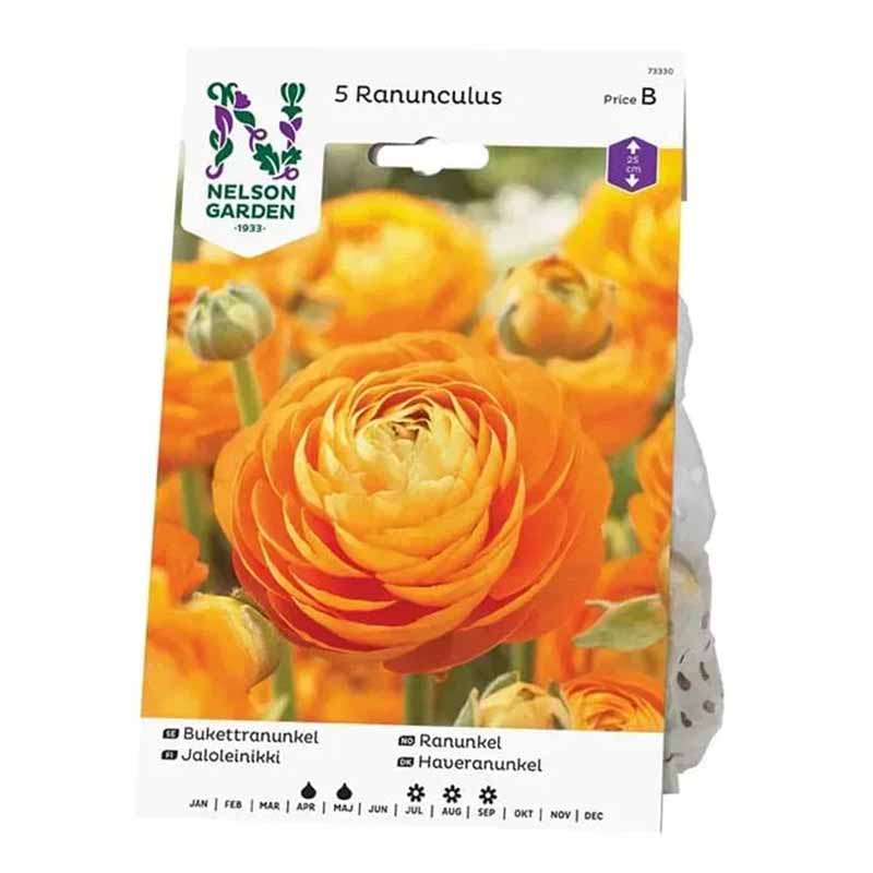 Leikkoranunkkeli oranssi