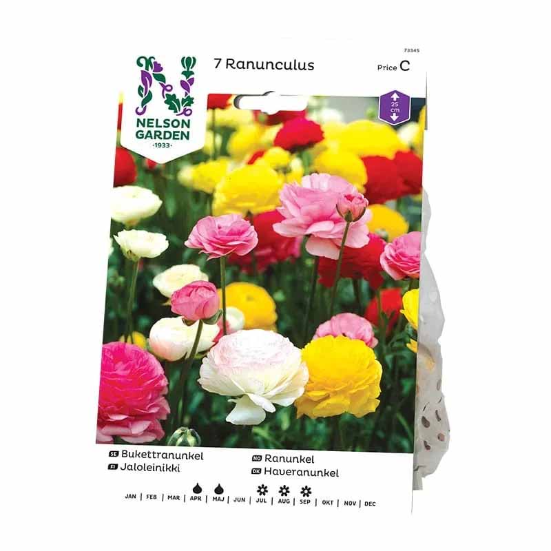 Leikkoranunkkeli sekoitus