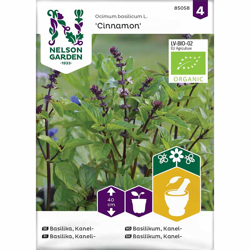 Kanelibasilika Organic