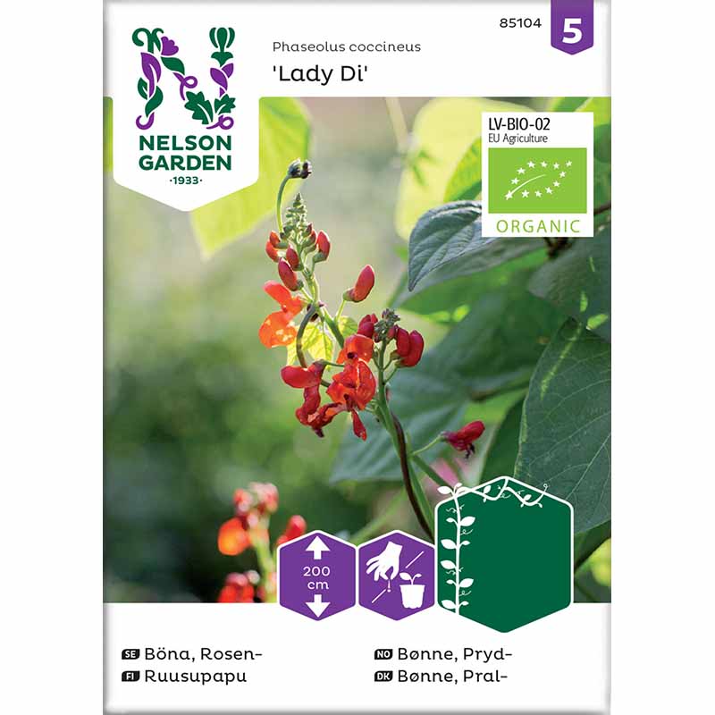 Runner Bean 'Lady Di' Organic