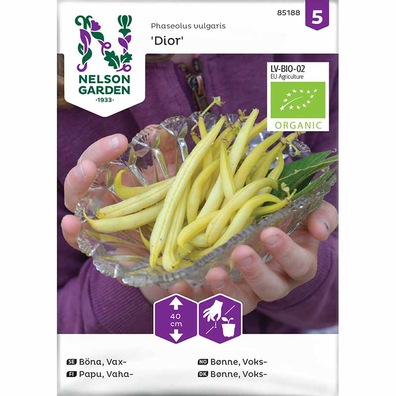 Vahapapu 'Dior' luomu