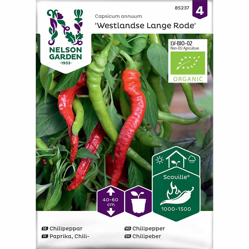 Chili Pepper 'Westlandse Lange Rode' Organic