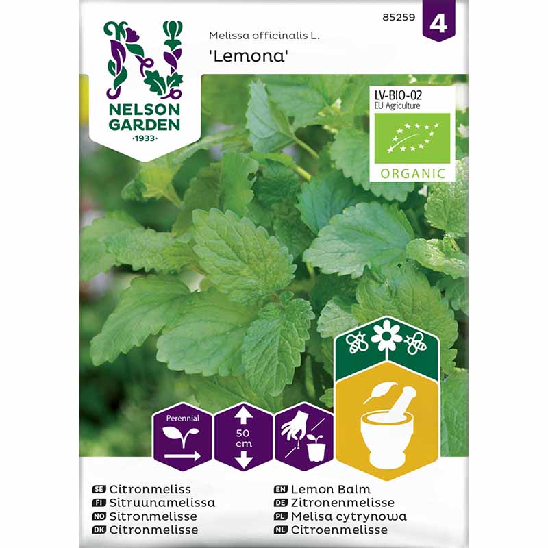 Sitruunamelissa 'Lemona'