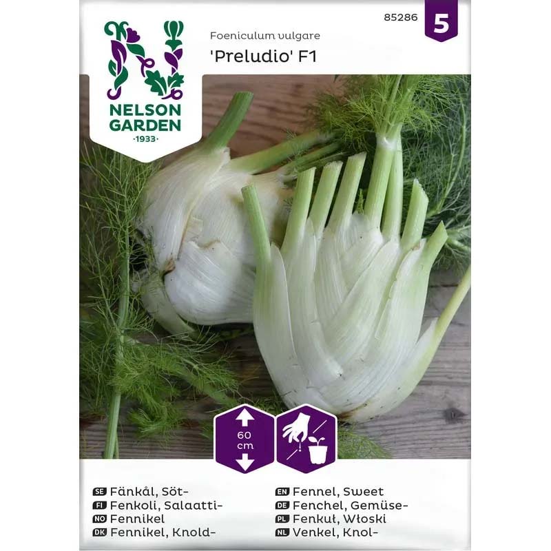 Fenkoli 'Preludio' F1