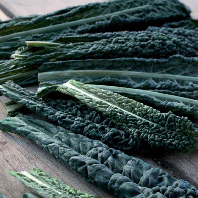 Mustakaali 'Black Magic'