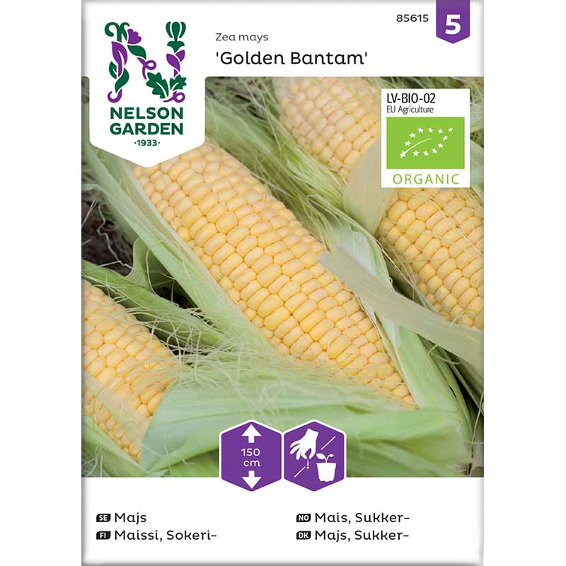 Corn 'Golden Bantam' Organic