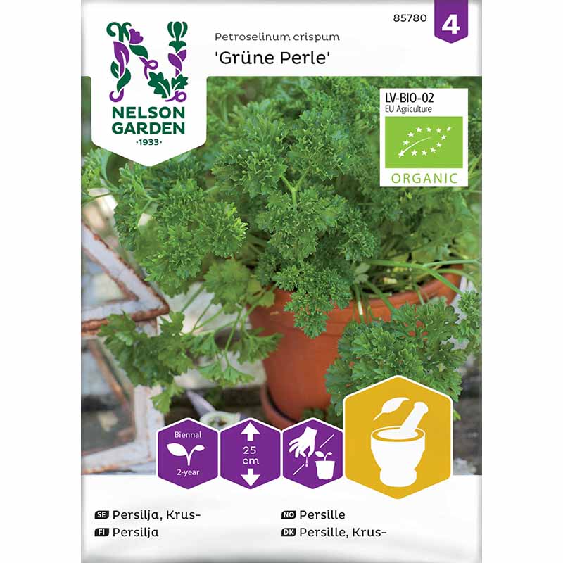 Lehtipersilja 'Grüne Perle'