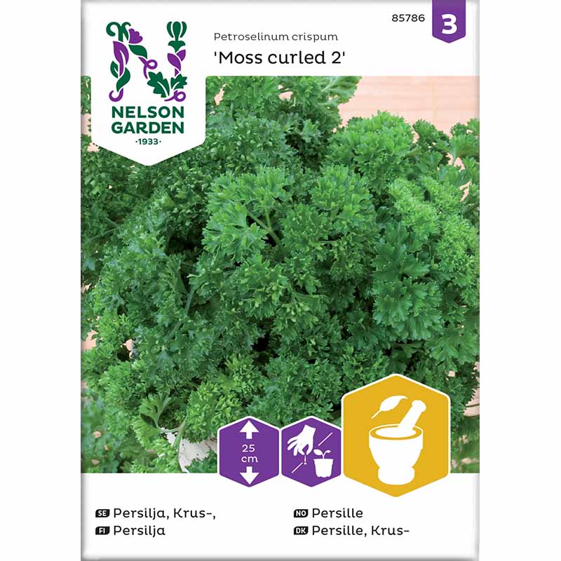 Persilja 'Moss Curled 2'