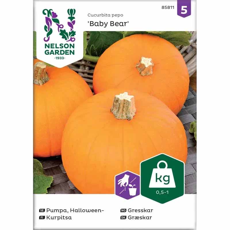 Minikurpitsa 'Baby Bear'