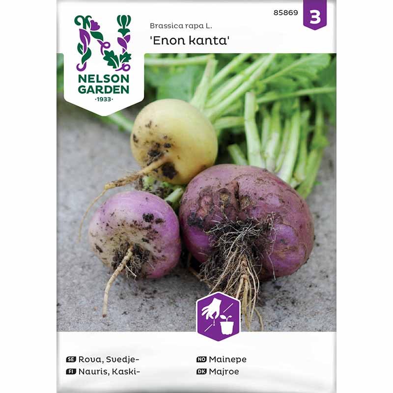 Naattinauris 'Enon kanta'