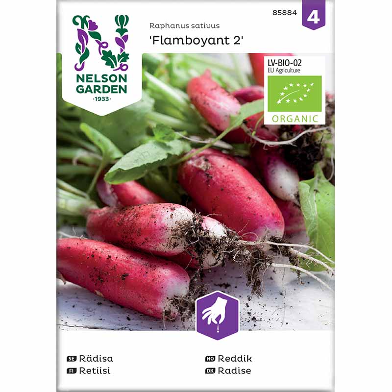 Retiisi 'Flamboyant 2'