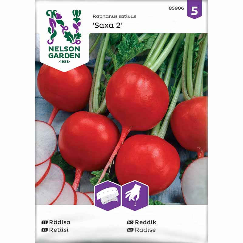 Retiisi 'Saxa 2' såband