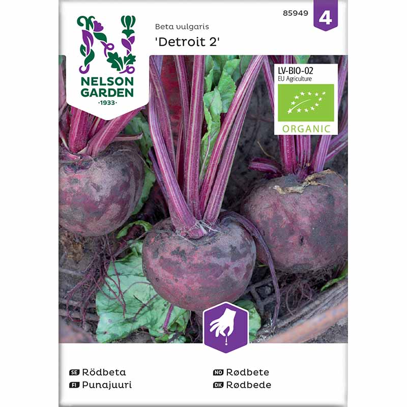 Punajuuri 'Detroit 2' Luomu