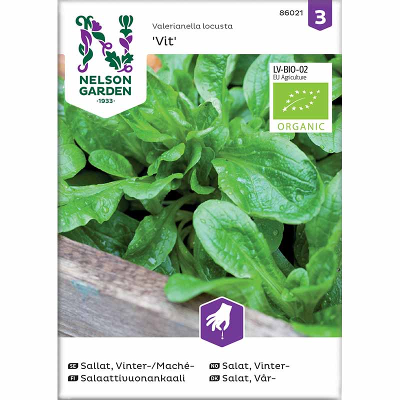 Machesalaatti valkoinen