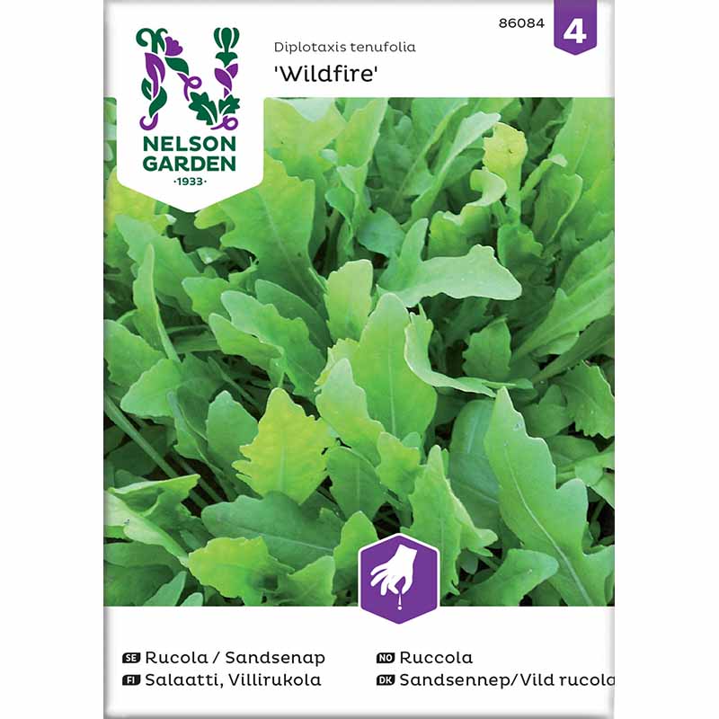Rucola / Villirucola 'Wildfire'