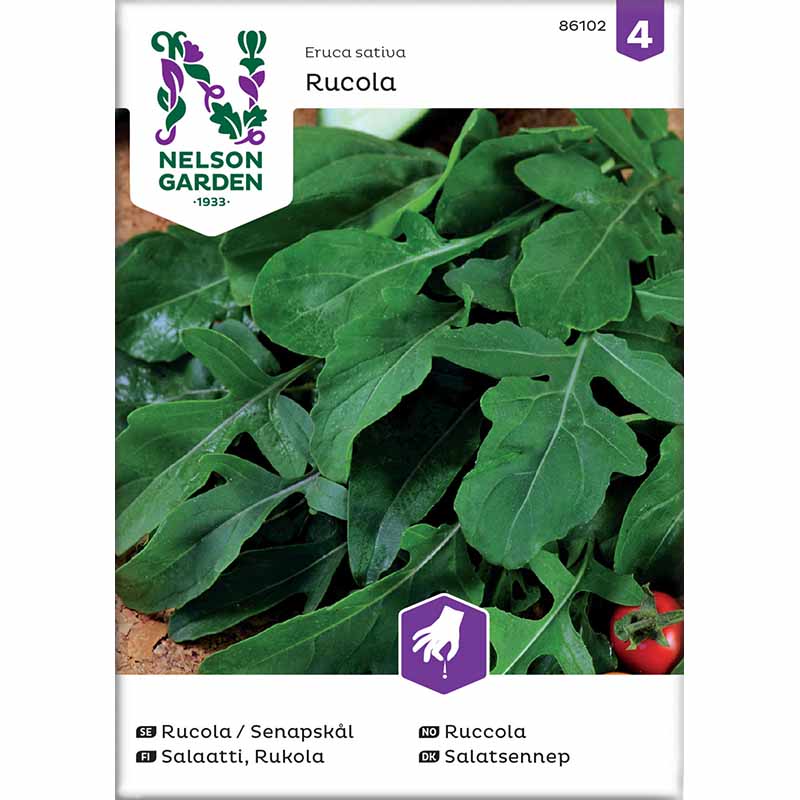 Rucola / Sinappikaali