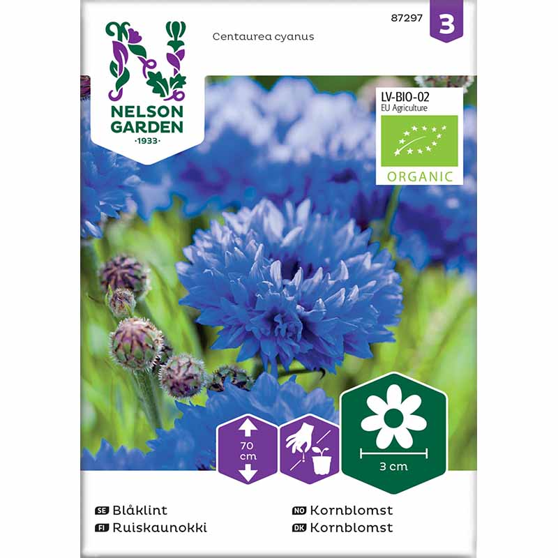 Tall Cornflower Organic