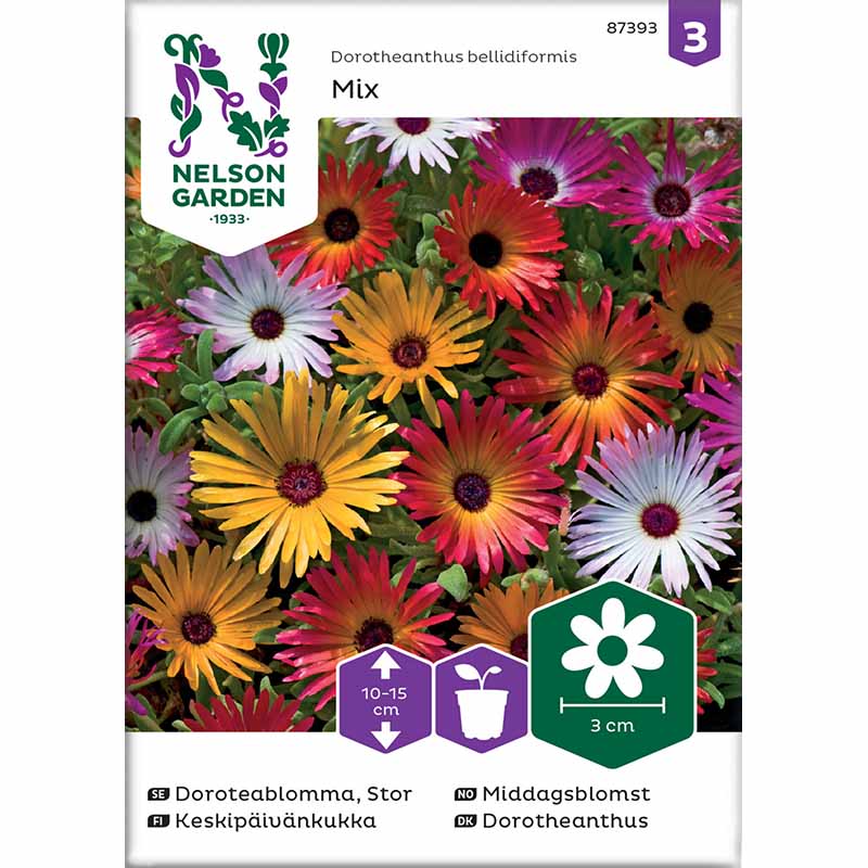 Doroteankukka sekoitus