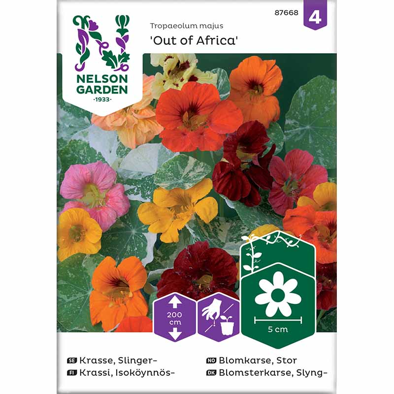 Köynnöskrassi 'Out of Africa'