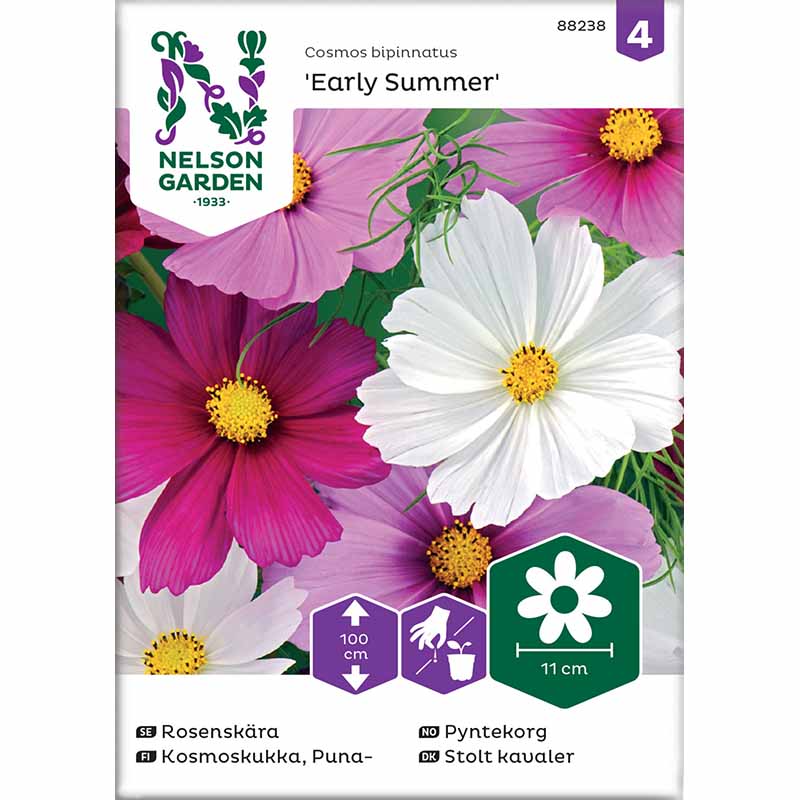 Kosmoskukka 'Early Summer' mix