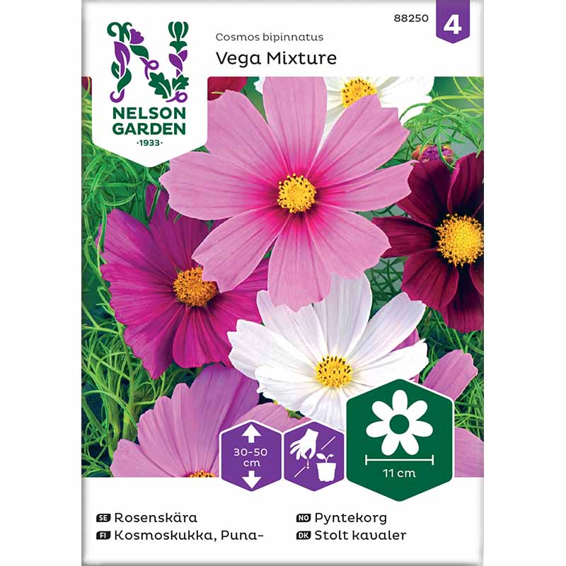 Kosmoskukka 'Vega Mixture'