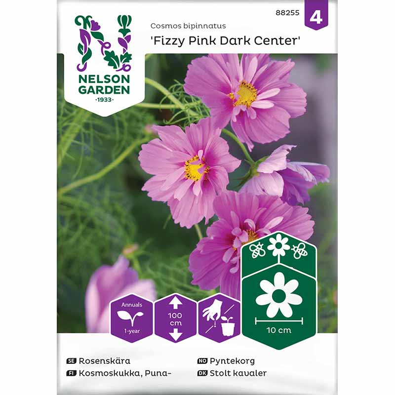 Kosmoskukka 'Fizzy Pink Dark Center'